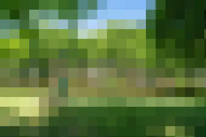 Heemraadssingel 103 BE Rotterdam thumbnail 27