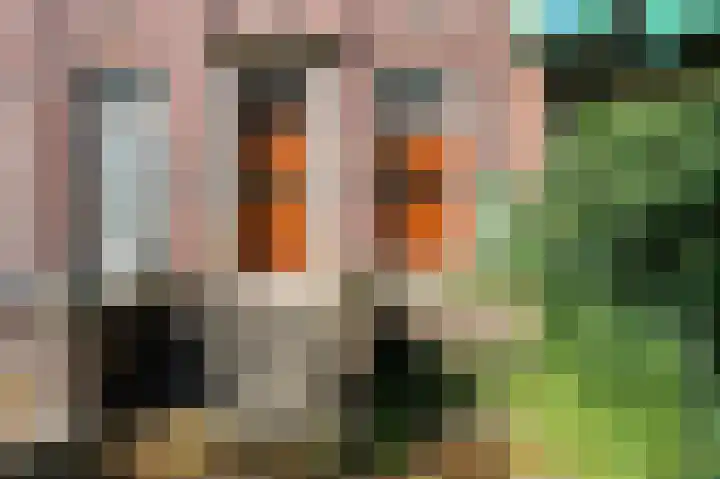 Heemraadssingel 103 BE Rotterdam thumbnail 29