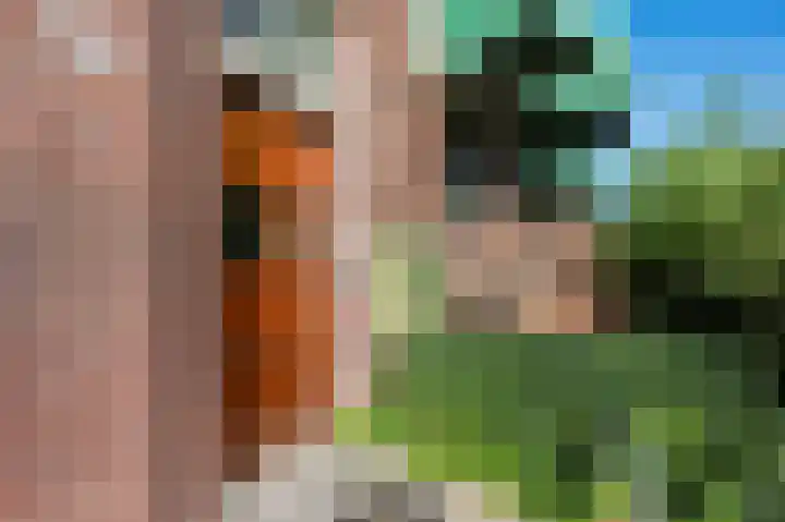 Heemraadssingel 103 BE Rotterdam thumbnail 30