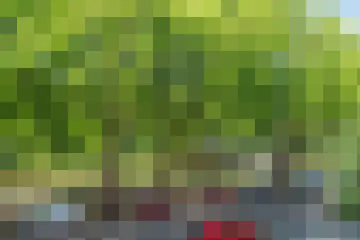 Heemraadssingel 103 BE Rotterdam thumbnail 32