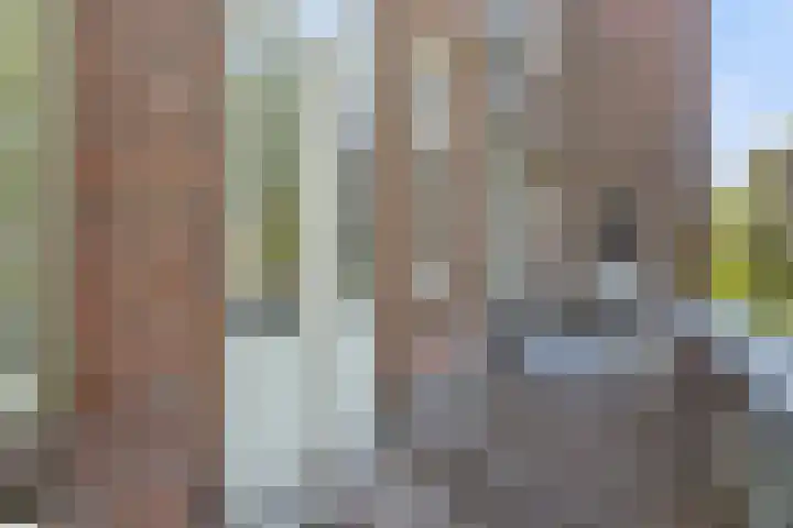 Heemraadssingel 103 BE Rotterdam thumbnail 5