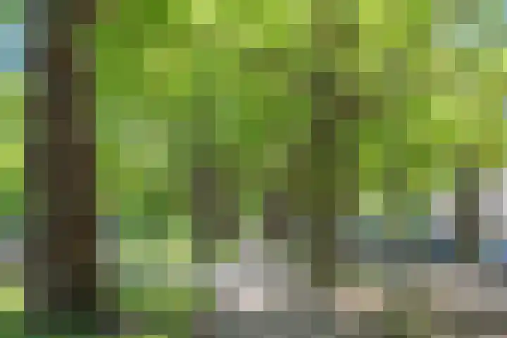 Heemraadssingel 103 BE Rotterdam thumbnail 7