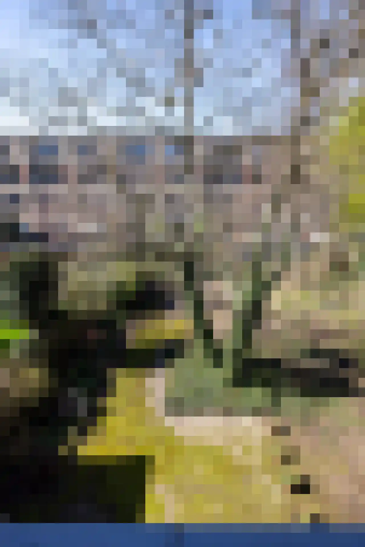 Heemraadssingel 105 Rotterdam thumbnail 27