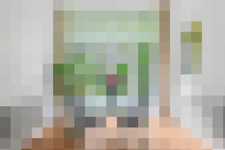 Heemraadssingel 108 B Rotterdam thumbnail 19