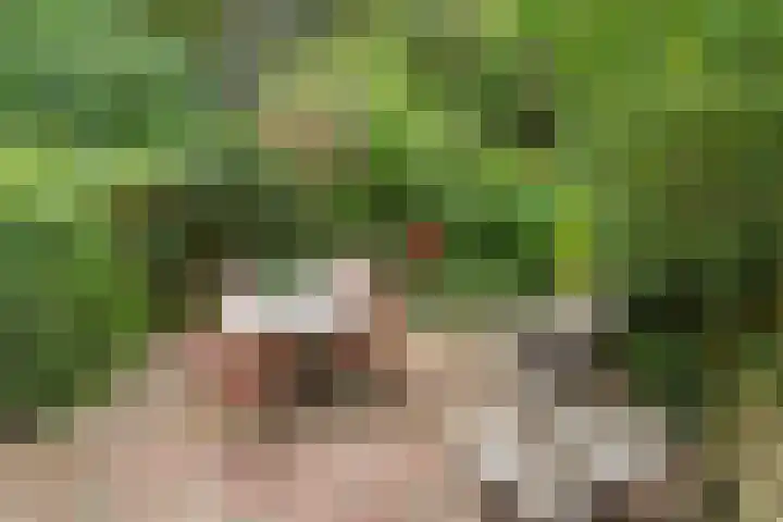 Heemraadssingel 108 B Rotterdam thumbnail 20