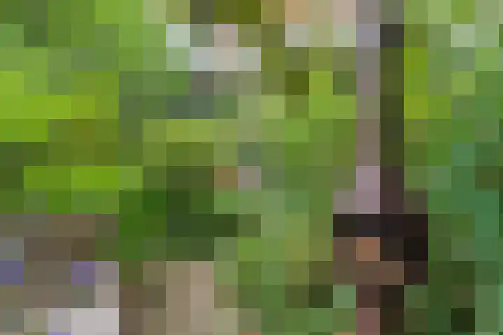 Heemraadssingel 108 B Rotterdam thumbnail 22