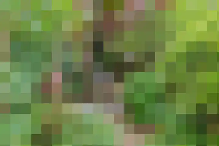Heemraadssingel 108 B Rotterdam thumbnail 23