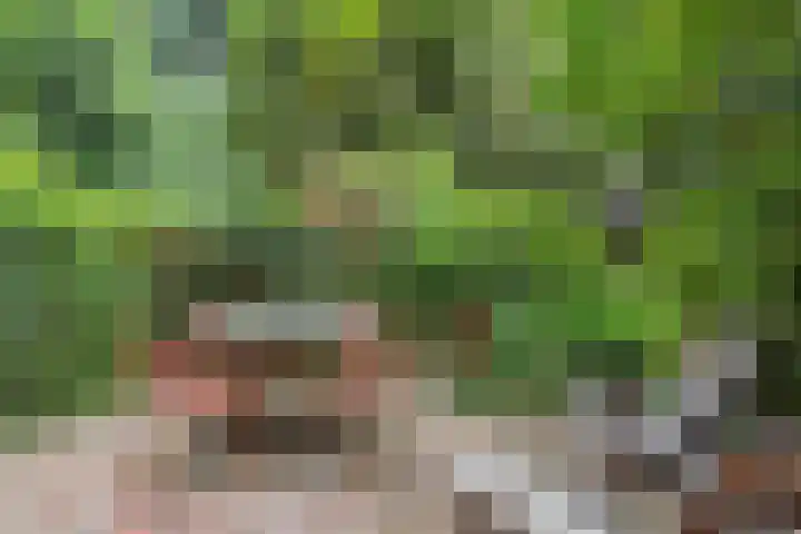 Heemraadssingel 108 B Rotterdam thumbnail 25