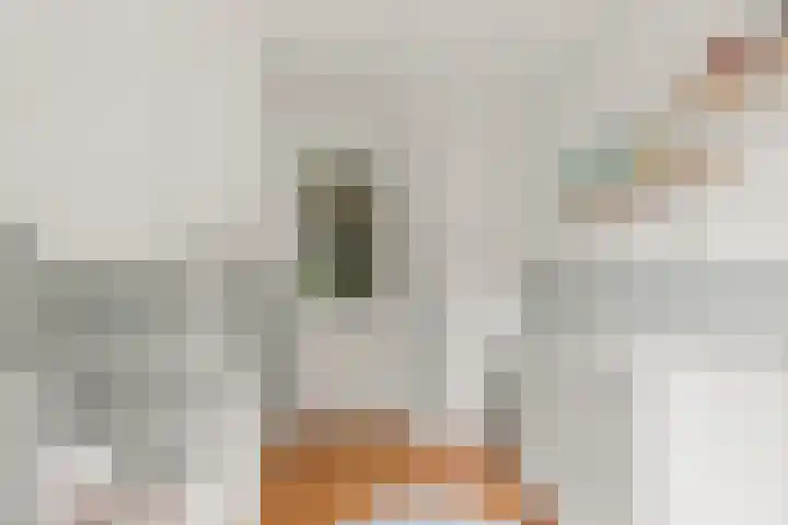 Heemraadssingel 108 B Rotterdam thumbnail 30