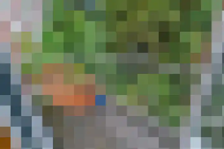 Heemraadssingel 108 B Rotterdam thumbnail 37