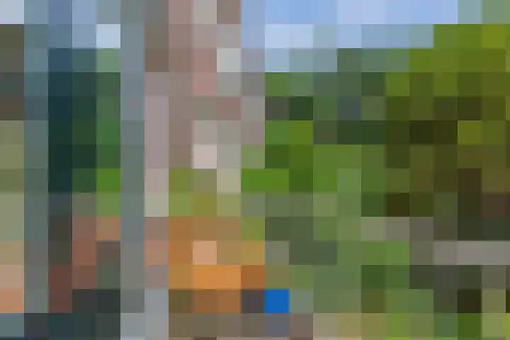 Heemraadssingel 108 B Rotterdam thumbnail 38