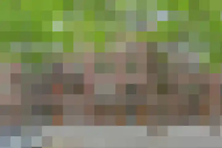 Heemraadssingel 108 B Rotterdam thumbnail 4