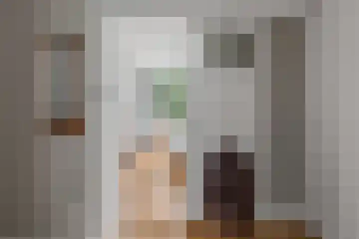 Heemraadssingel 108 B Rotterdam thumbnail 41
