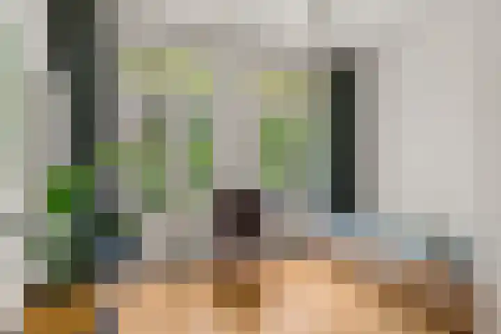 Heemraadssingel 108 B Rotterdam thumbnail 49