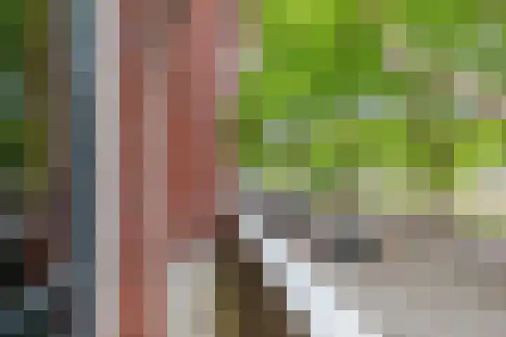 Heemraadssingel 108 B Rotterdam thumbnail 50