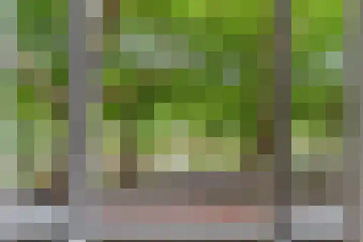 Heemraadssingel 108 B Rotterdam thumbnail 51