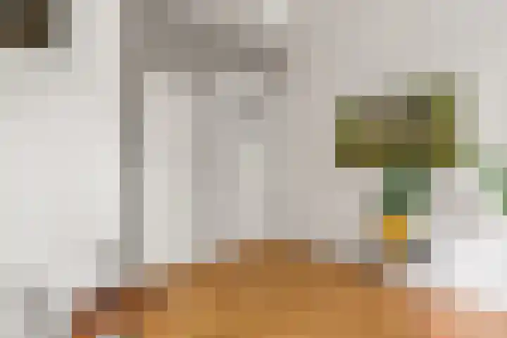 Heemraadssingel 108 B Rotterdam thumbnail 52