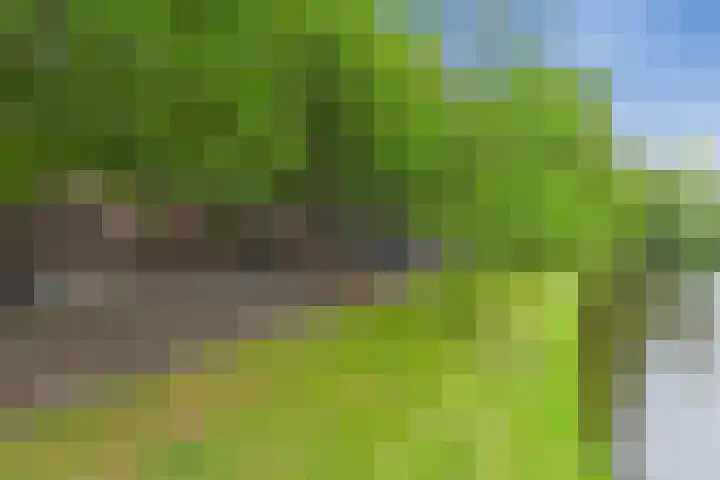 Heemraadssingel 108 B Rotterdam thumbnail 68