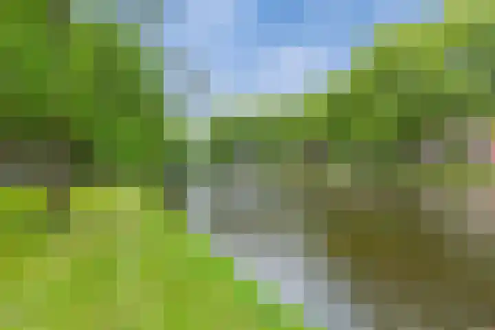 Heemraadssingel 108 B Rotterdam thumbnail 69