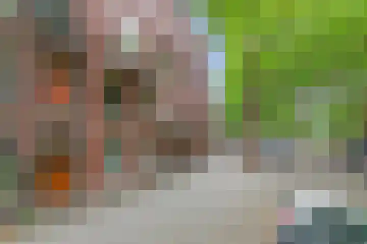 Heemraadssingel 108 B Rotterdam thumbnail 72