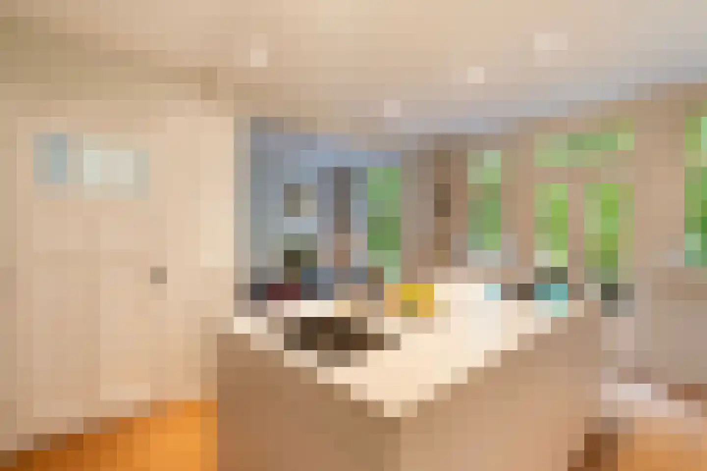 Heemraadssingel 116 02 Rotterdam thumbnail 10