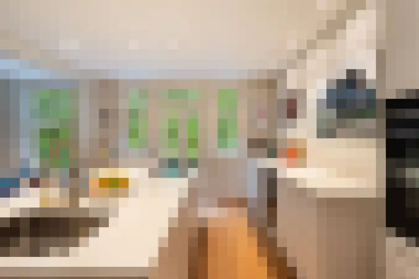 Heemraadssingel 116 02 Rotterdam thumbnail 11