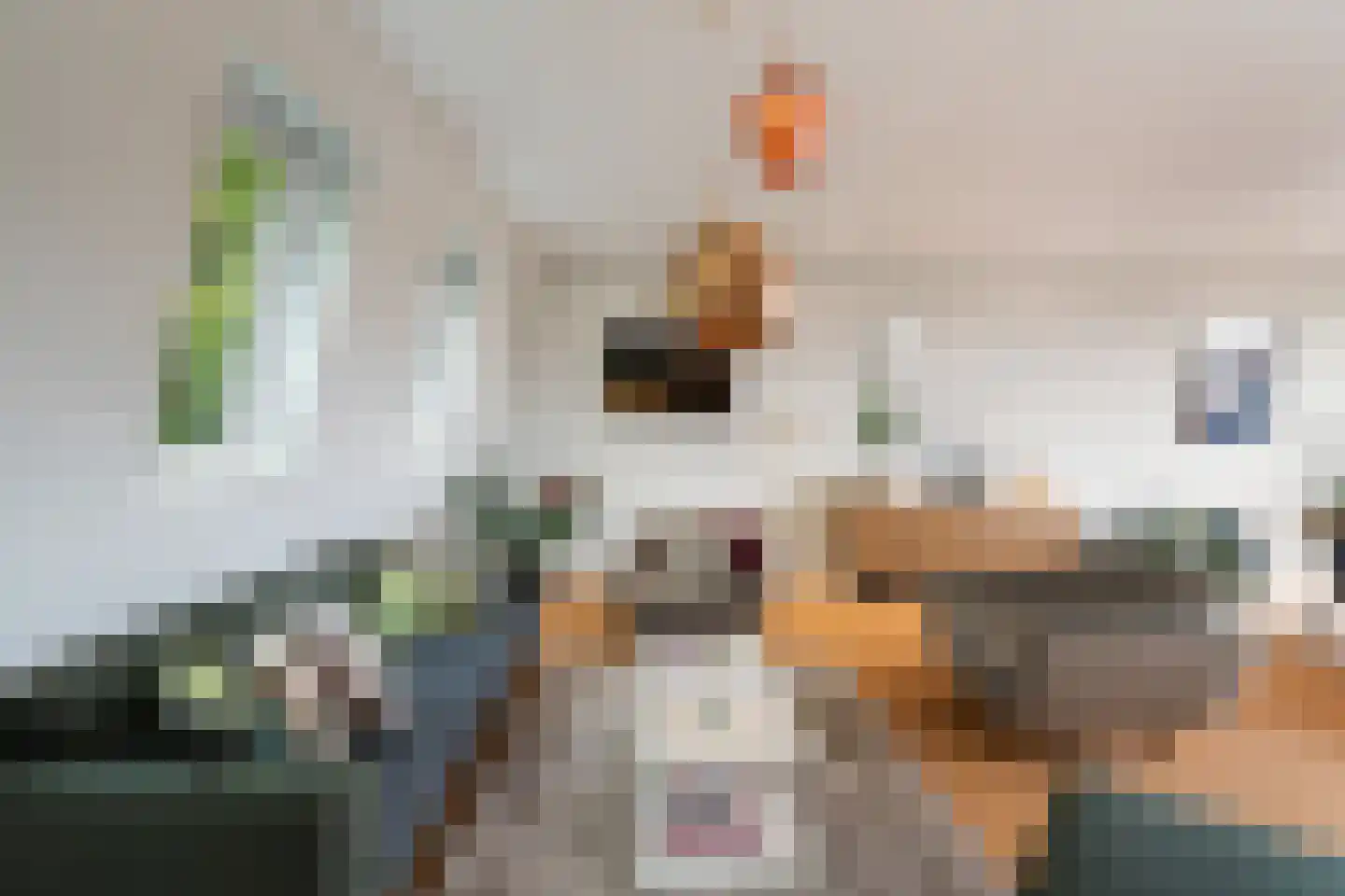 Heemraadssingel 116 02 Rotterdam thumbnail 34