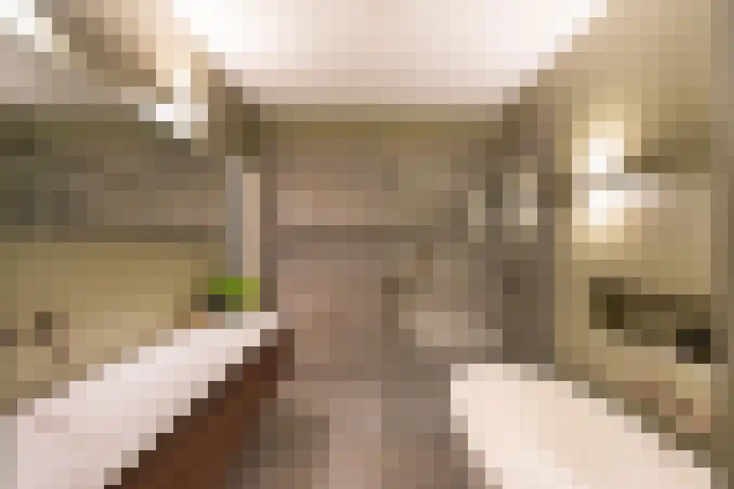 Heemraadssingel 116 02 Rotterdam thumbnail 6