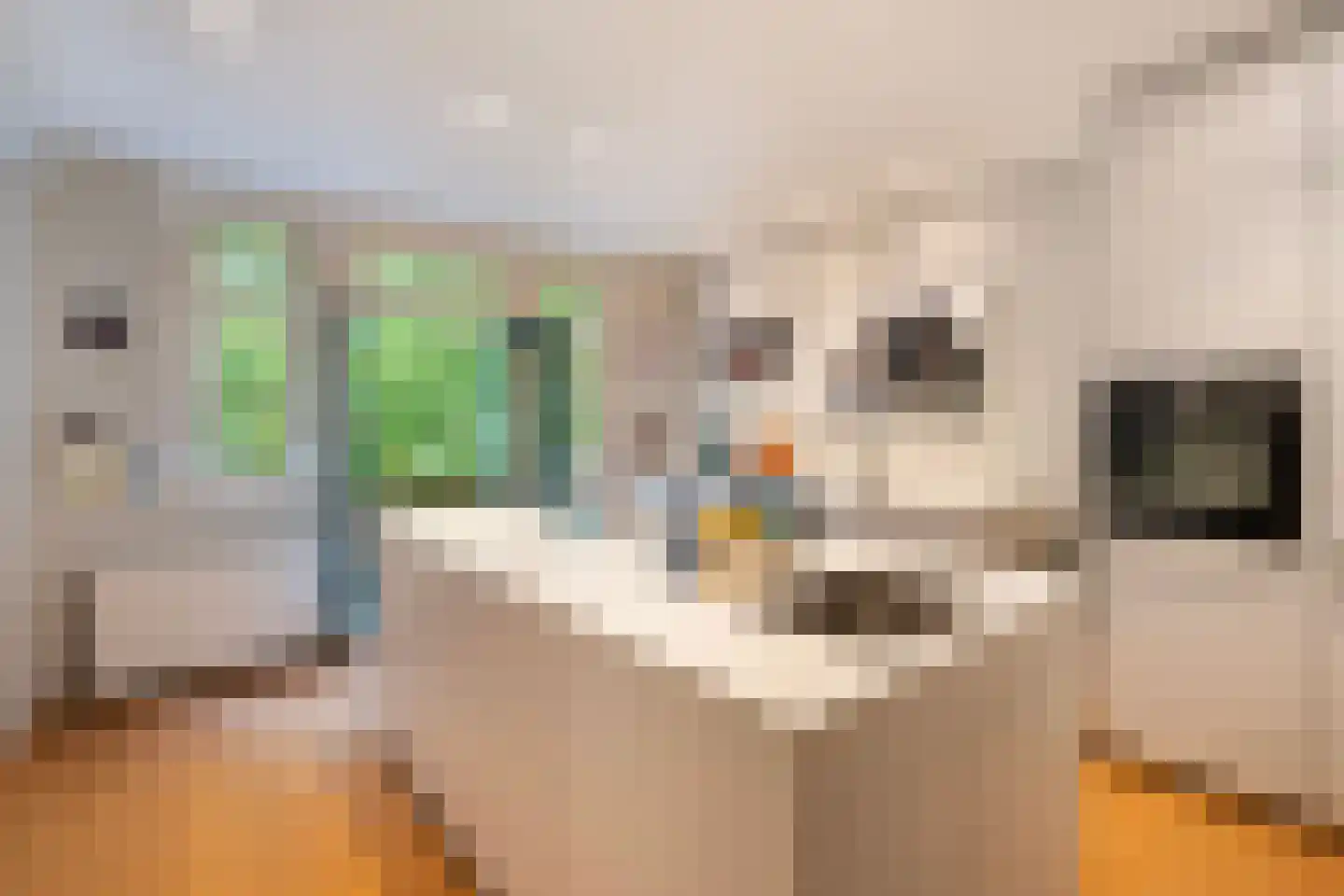 Heemraadssingel 116 02 Rotterdam thumbnail 9