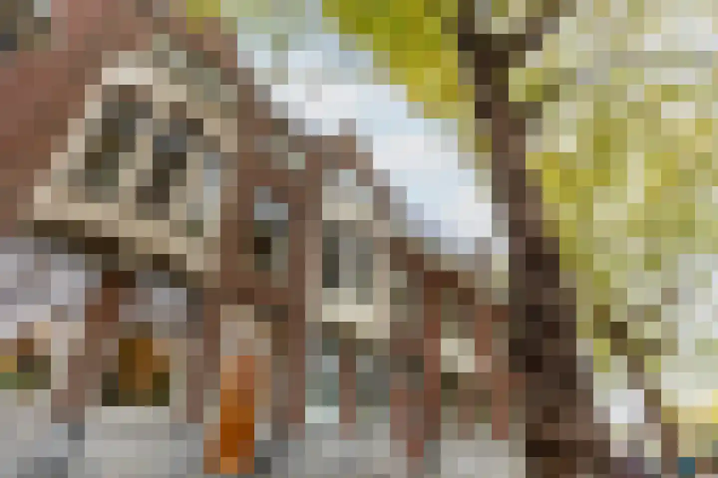Heemraadssingel 118 A Rotterdam thumbnail 31