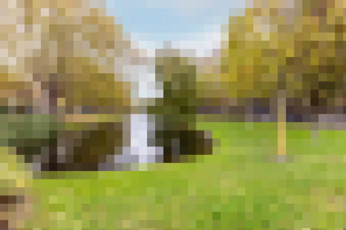 Heemraadssingel 118 A Rotterdam thumbnail 5