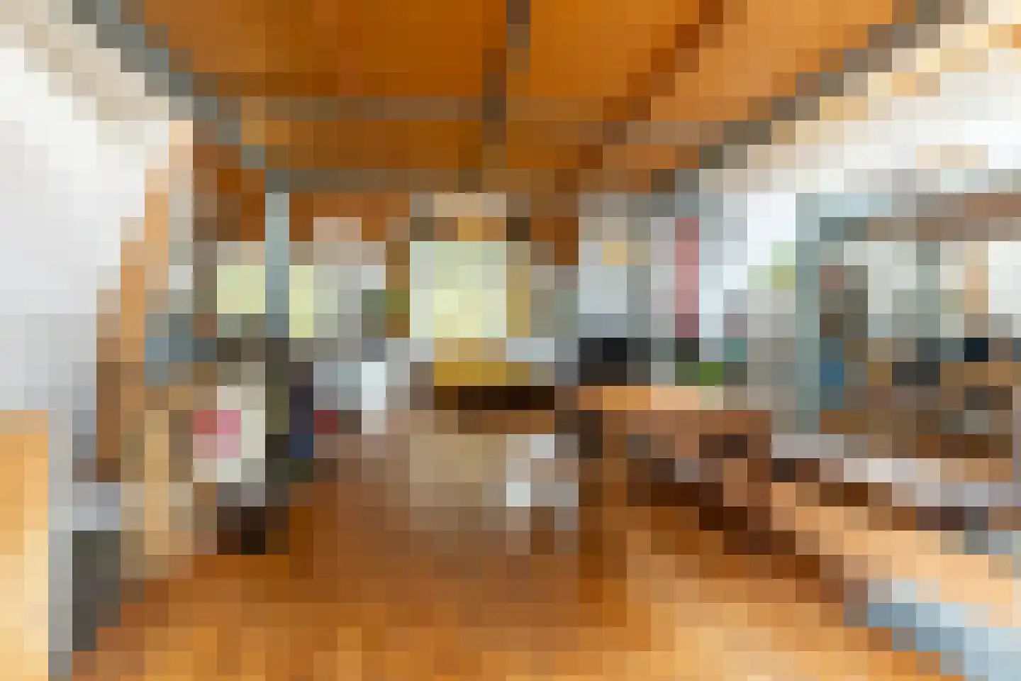 Heemraadssingel 118 B Rotterdam thumbnail 25