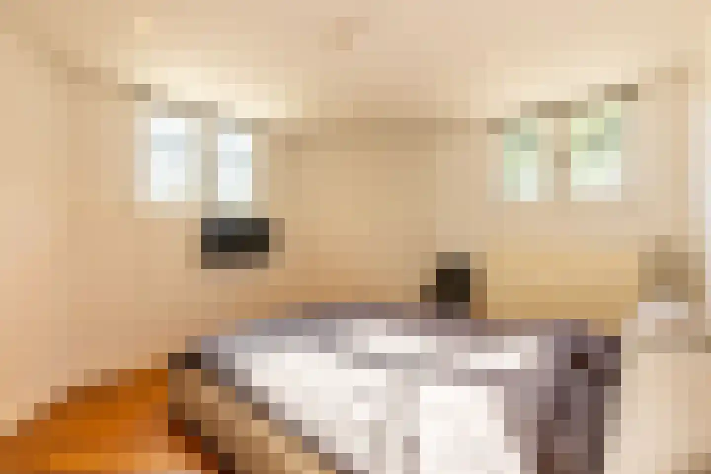 Heemraadssingel 128 A Rotterdam thumbnail 29