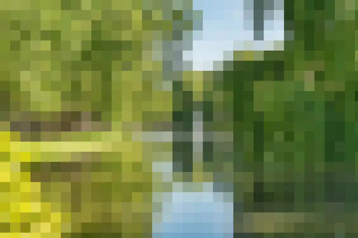 Heemraadssingel 128 Rotterdam thumbnail 6