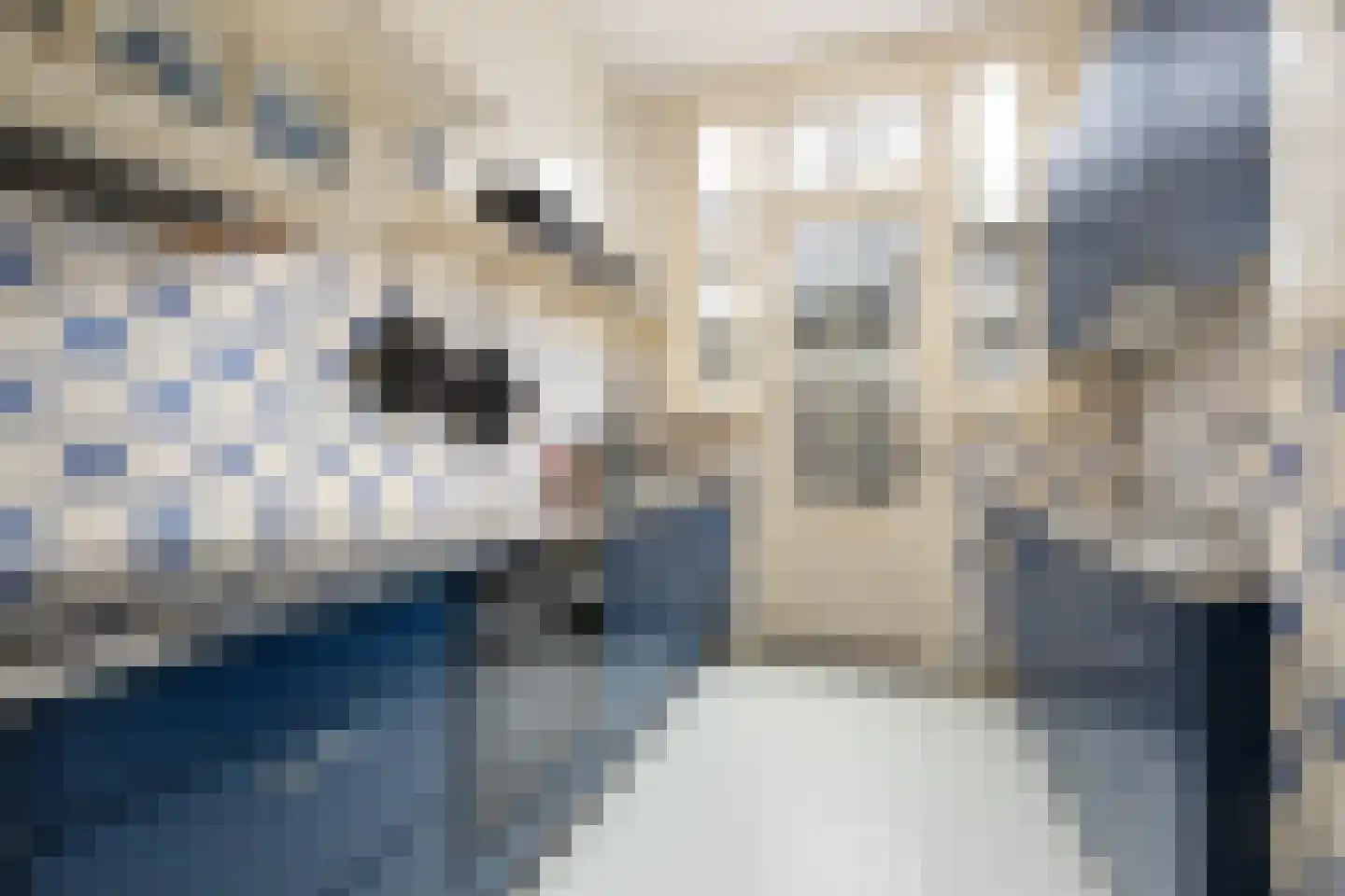 Heemraadssingel 162 Rotterdam thumbnail 14