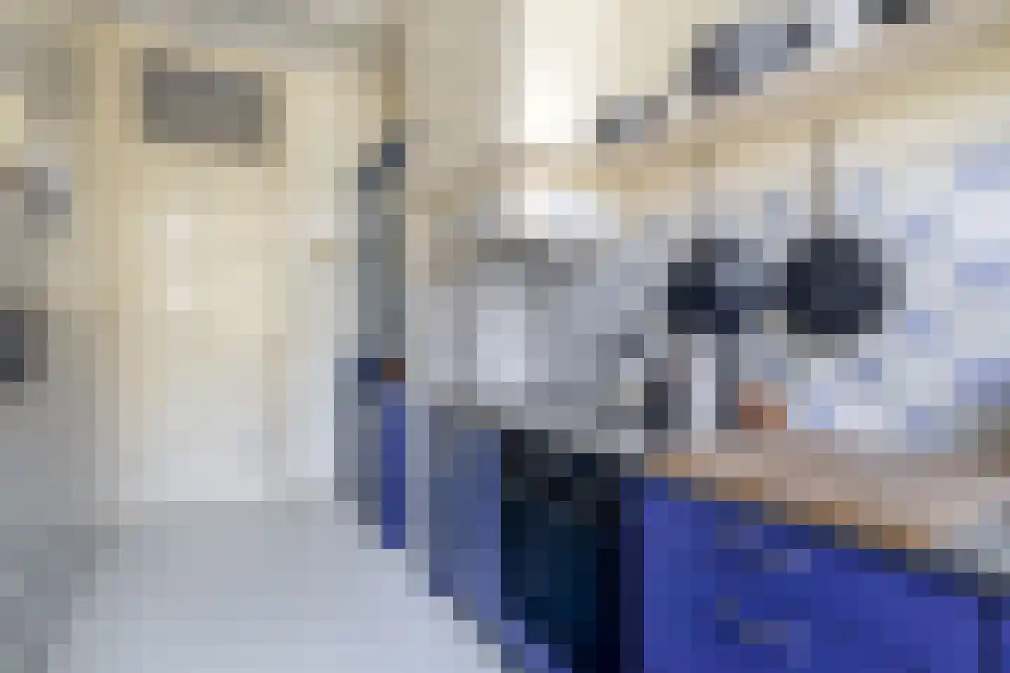 Heemraadssingel 162 Rotterdam thumbnail 21