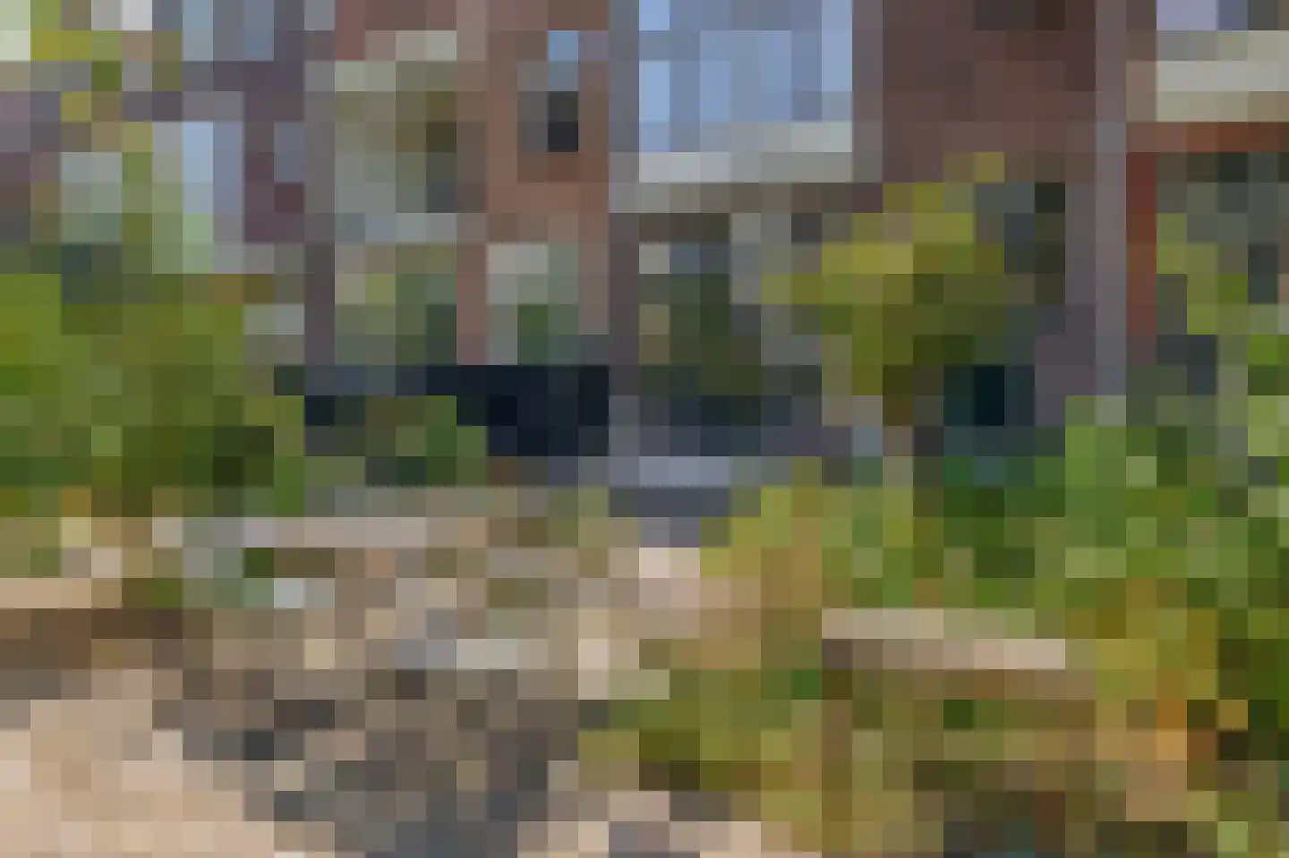 Heemraadssingel 162 Rotterdam thumbnail 5