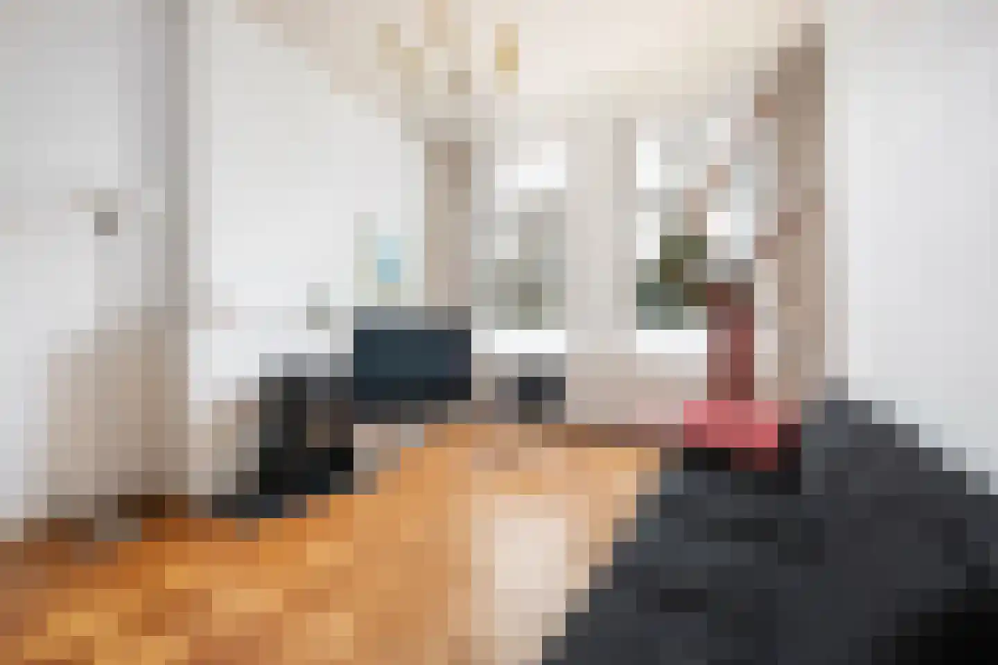 Heemraadssingel 162 Rotterdam thumbnail 6