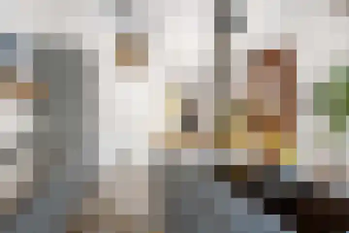 Heemraadssingel 168 Rotterdam thumbnail 15