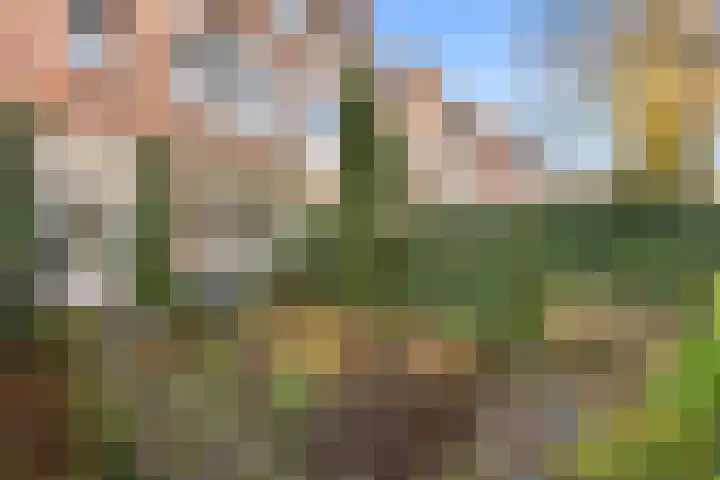 Heemraadssingel 168 Rotterdam thumbnail 19