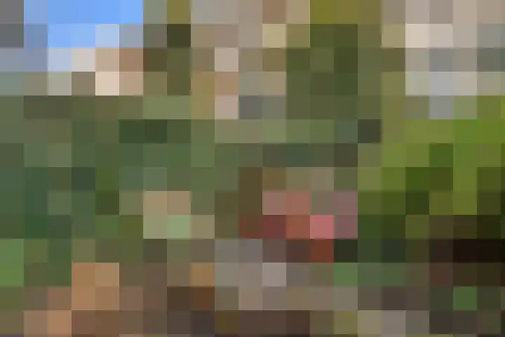 Heemraadssingel 168 Rotterdam thumbnail 20
