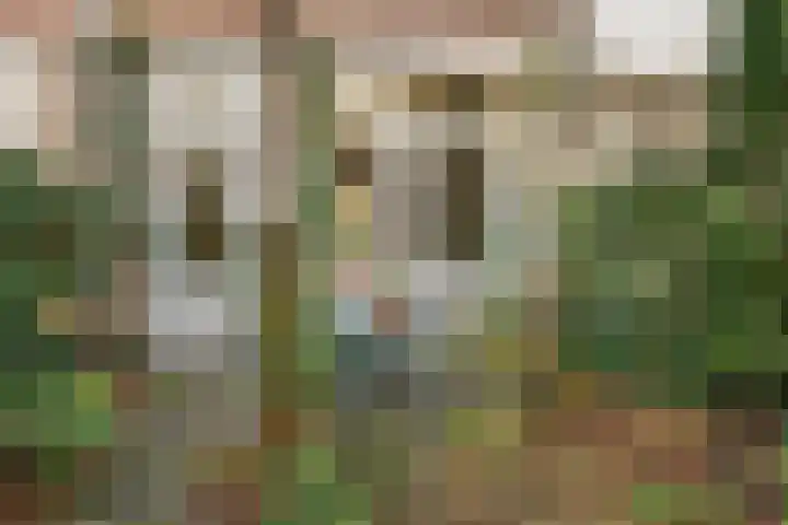 Heemraadssingel 168 Rotterdam thumbnail 21