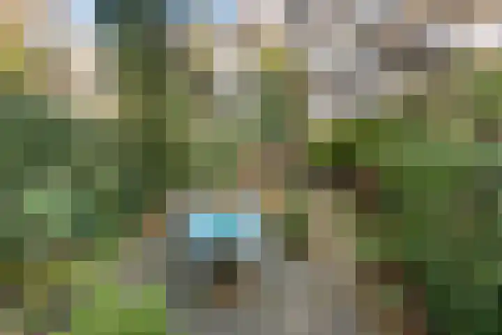 Heemraadssingel 168 Rotterdam thumbnail 22