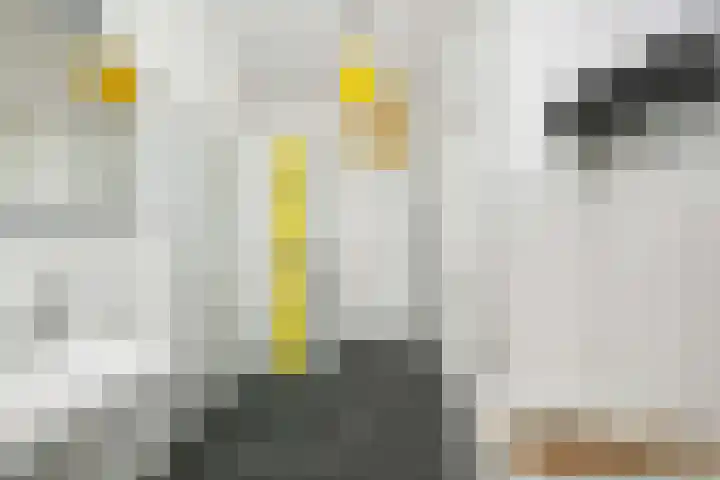 Heemraadssingel 168 Rotterdam thumbnail 32