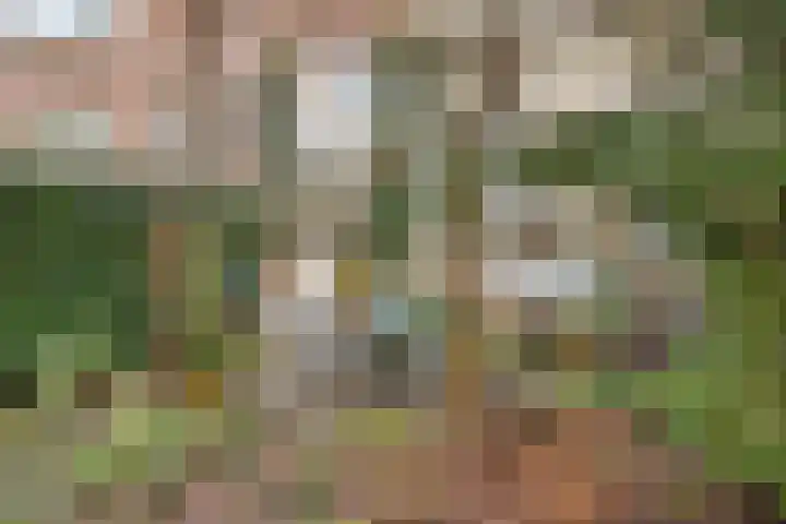 Heemraadssingel 168 Rotterdam thumbnail 4