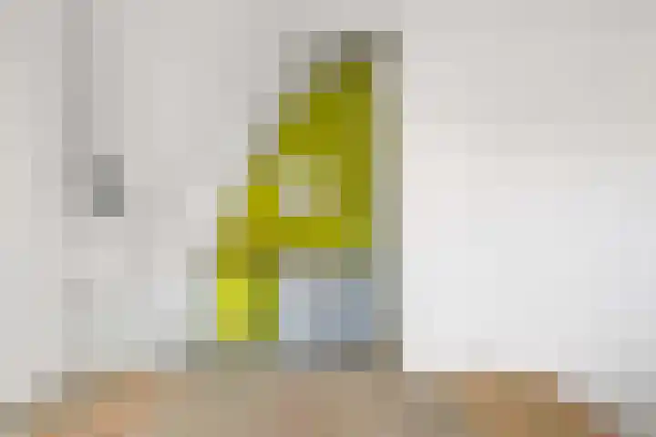 Heemraadssingel 168 Rotterdam thumbnail 45