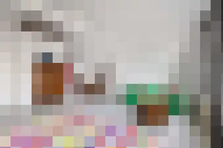 Heemraadssingel 168 Rotterdam thumbnail 49