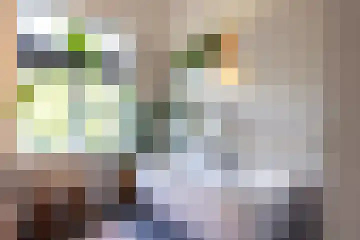 Heemraadssingel 174 Rotterdam thumbnail 27