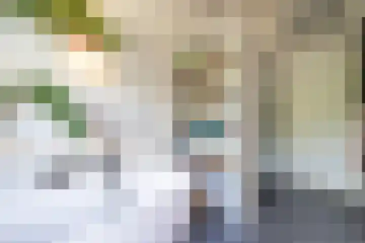 Heemraadssingel 174 Rotterdam thumbnail 29