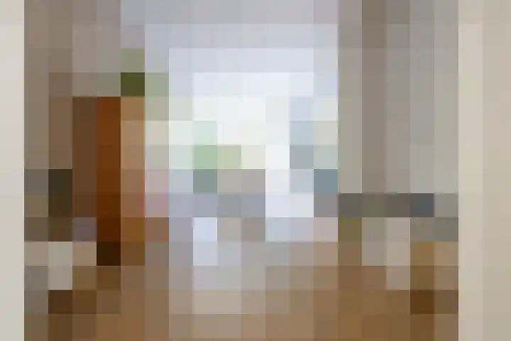 Heemraadssingel 174 Rotterdam thumbnail 4